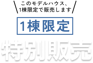 このモデルハウス、1棟限定で販売します 一棟限定特別販売
