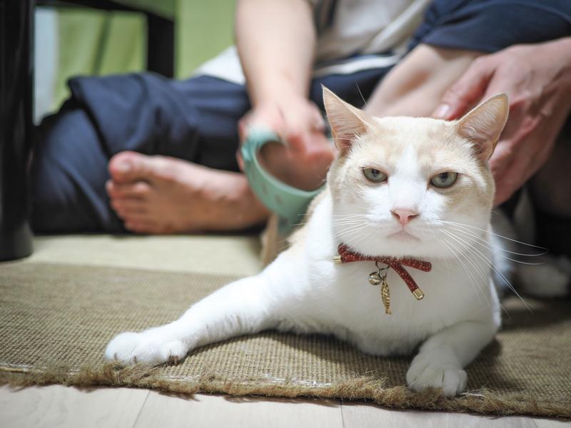 nyanji